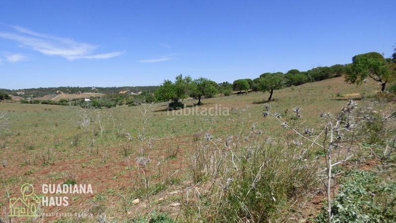 Foto bc7156d2-0242-43d9-adfd-1bd11d063e23. Finca rústica en calle ds fontanilla 5 en Ayamonte ciudad Ayamonte