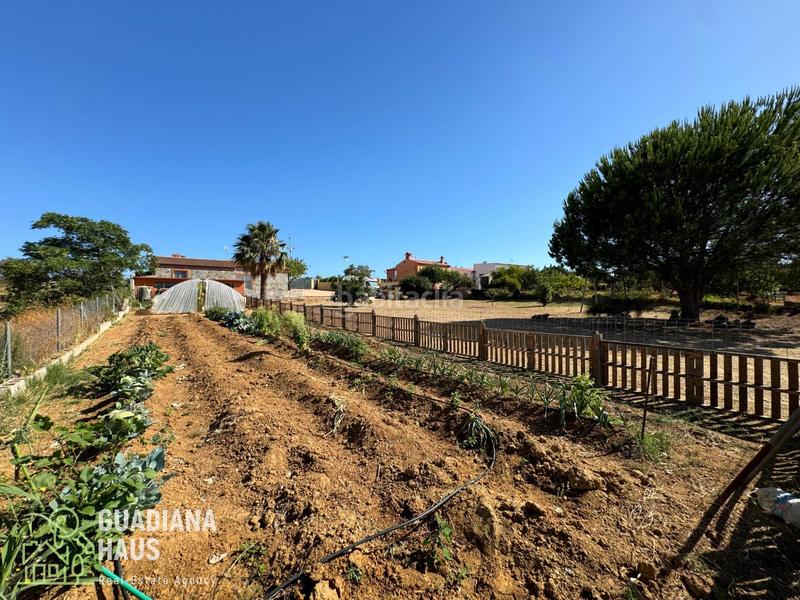 Foto b20fd346-74e6-48c3-ad91-425f3e22882d. Casale in carretera diseminados 5 in Lepe