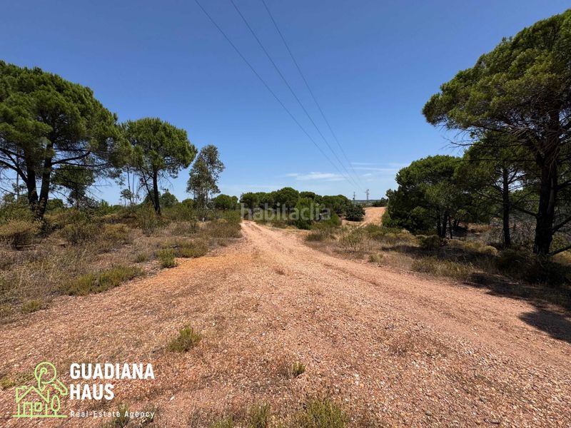 Foto 0f8ffaf0-06a7-4c02-a35e-81a0547105b6. Finca rústica a diseminados 12 a Costa Esuri Ayamonte