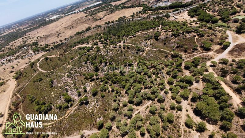 Foto 355c72f2-82f7-4a18-b676-56da5766eb00. Finca rústica a diseminados 12 a Costa Esuri Ayamonte