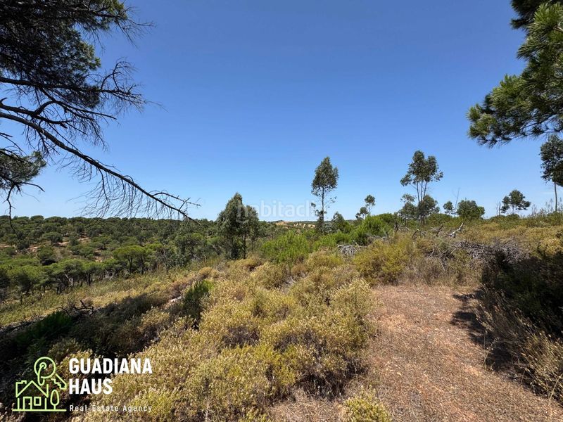 Foto b680dd94-d4cd-42d1-928e-f3074ae24f19. Finca rústica a diseminados 12 a Costa Esuri Ayamonte