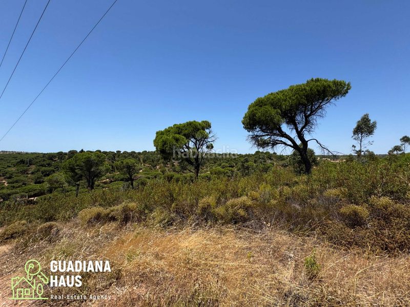 Foto c25ef4f6-2e52-47e9-be6d-b0086d97c6c1. Finca rústica a diseminados 12 a Costa Esuri Ayamonte