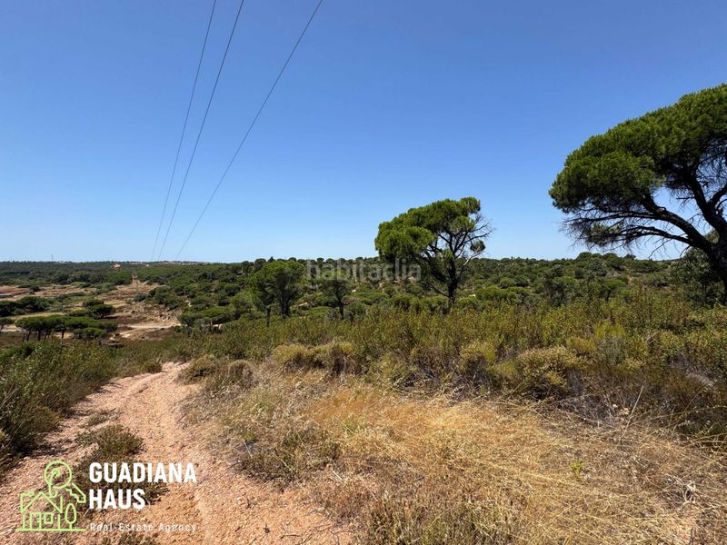 Foto e5f535a5-1ac7-4c92-9a39-67b360cb4394. Finca rústica a diseminados 12 a Costa Esuri Ayamonte