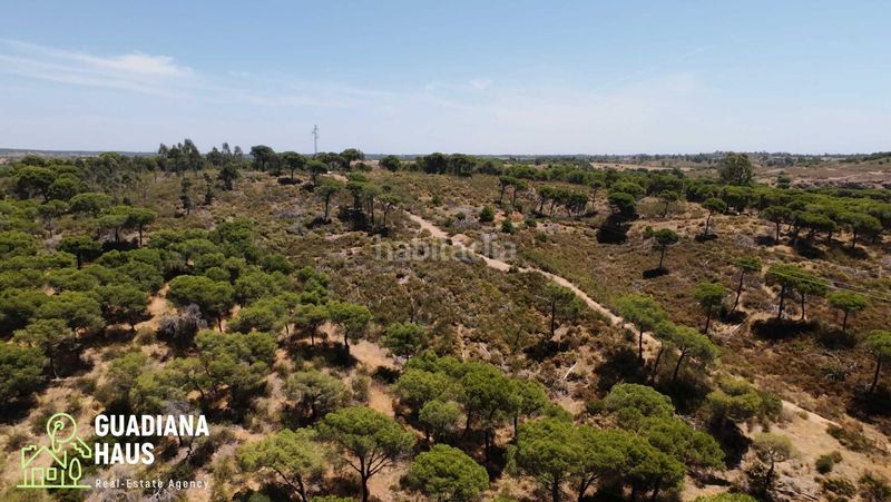 Foto fa76c29c-551c-4b65-9c1d-60a7d008b76f. Finca rústica a diseminados 12 a Costa Esuri Ayamonte