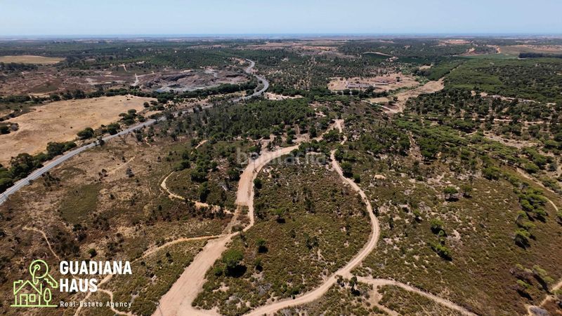 Foto c80aa87c-b9ee-4cf2-a4c7-2f75a75ae68b. Finca rústica en diseminados 12 en Costa Esuri Ayamonte