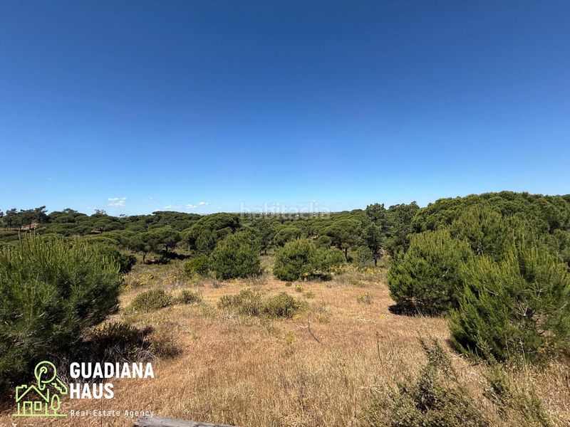 Foto 6d893a88-114b-48e1-b29f-d00a6b0c9953. Masia a calle ds fotea 8 a Ayamonte ciudad Ayamonte