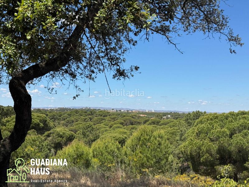 Foto 963519b8-5f88-4ce3-92e6-509f0fdf8493. Masia a calle ds fotea 8 a Ayamonte ciudad Ayamonte