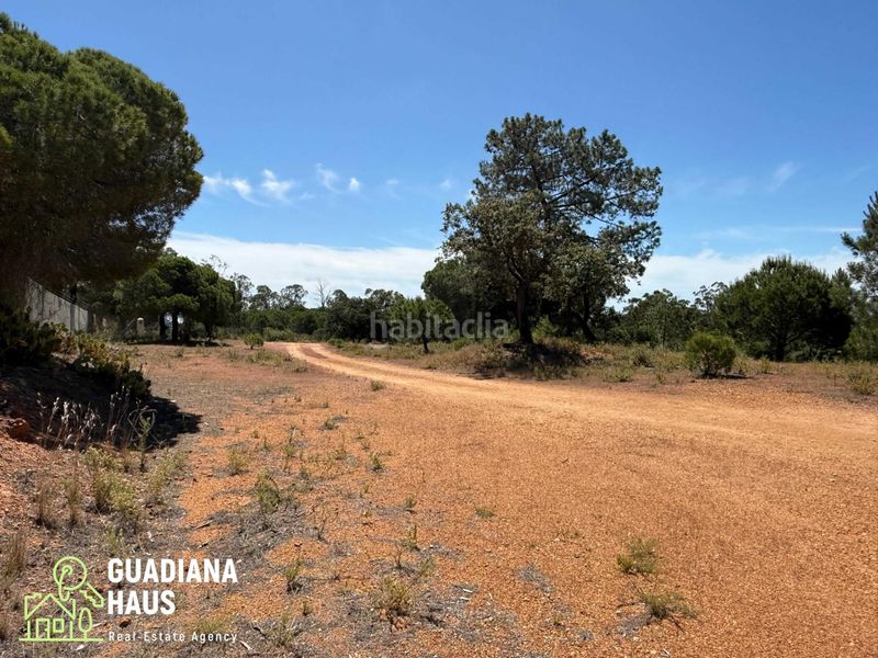 Foto eeccccff-09a7-4799-8317-e36369e5c669. Masia a calle ds fotea 8 a Ayamonte ciudad Ayamonte
