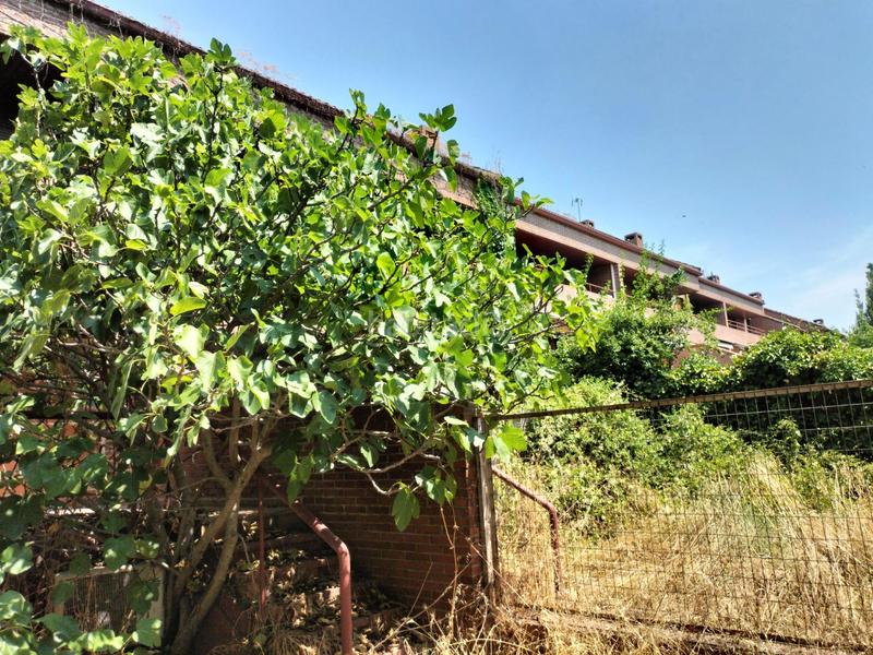 Foto a607913c-f66b-40b3-8696-96020666cf77. Xalet a araucarias 2 a Parquelagos-Puente Nuevo Galapagar