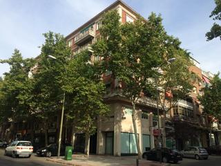 Local Comercial en Calle de Fortunata y Jacinta 23
