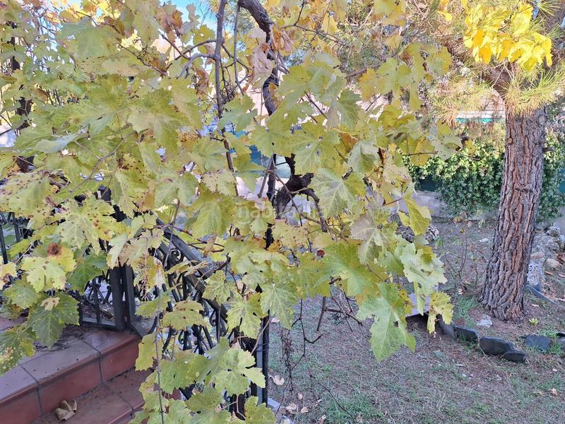 Foto 13f05de0-a33b-4d8e-85a1-03815ff72c89. Casa bifamiliare con parcheggio in Villanueva de la Cañada Villanueva de la Cañada