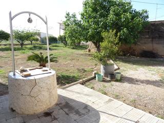 Masia a San Pedro del Pinatar. Casa con terreno en venta san pedro del pinatar