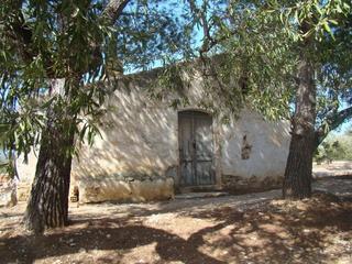 Bauernhof in Camarles. Finca de olivos con casa de campo