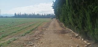 Terreno residencial  2 parcela 61. Finca rustica en venta en laldea mas roig