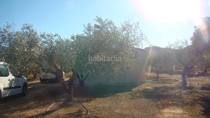 Foto 0c3b191a-0a7a-4d8a-b348-207197f82643. Mas dans Freginals