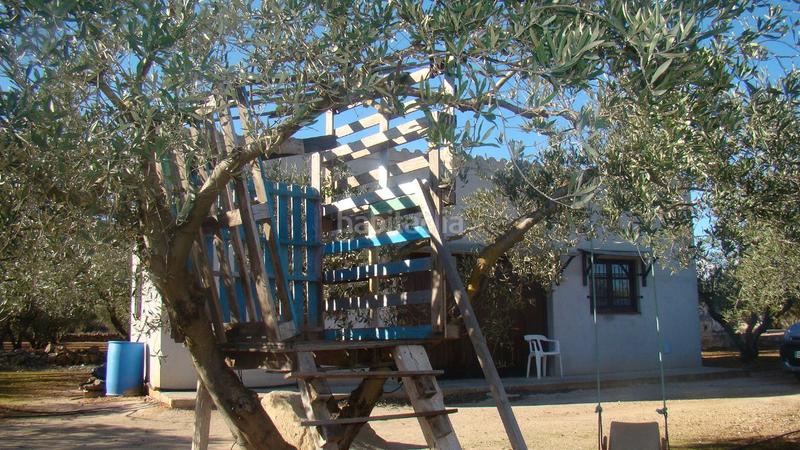 Foto 2b58802a-5d5e-42d5-a39f-6ece0d0d5d30. Mas dans Freginals