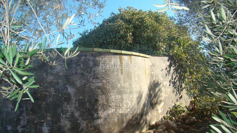 Foto 4b1c4934-9c1b-4013-8c7b-1dd4230c5e69. Mas dans Freginals