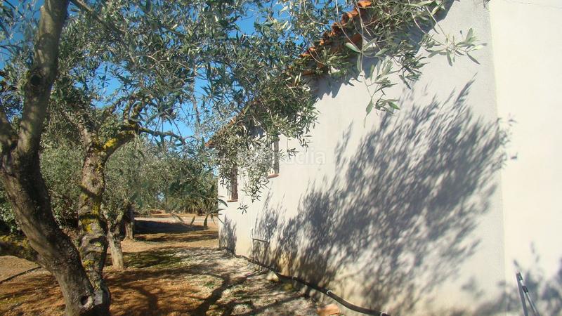 Foto 6632b9ab-4028-42bd-9b18-c26af0c1dea2. Mas dans Freginals