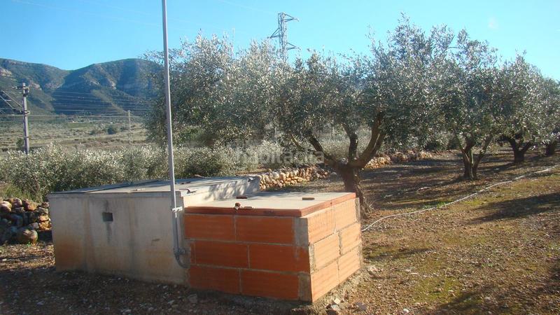 Foto 6c0b7ed0-ed94-445f-a236-80d5806f4212. Mas dans Freginals