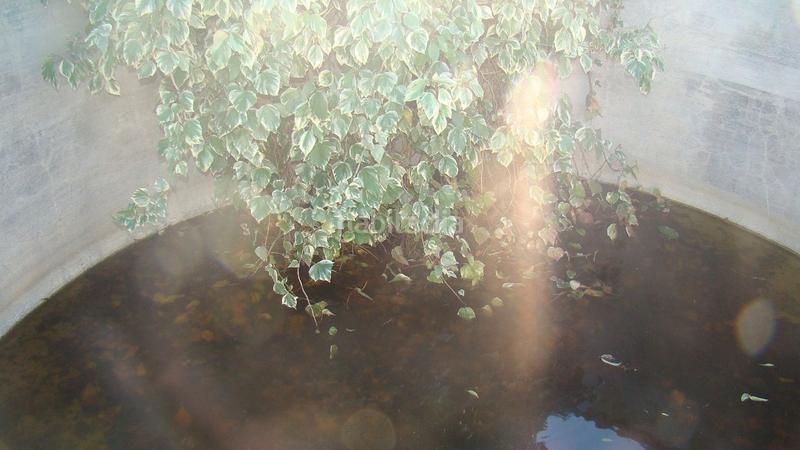 Foto 7dba47ce-c815-466c-9a6b-e046eb2aa19f. Mas dans Freginals