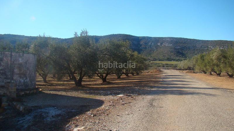 Foto 93bd4e7f-8c4c-4847-8bef-7eaea7c2a7c0. Mas dans Freginals