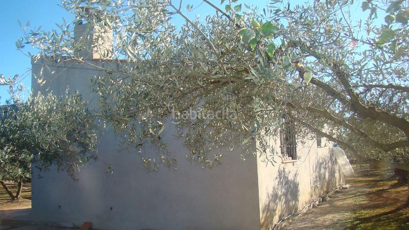 Foto b2f291cb-d998-425d-bfe1-2ca609ad6793. Mas dans Freginals