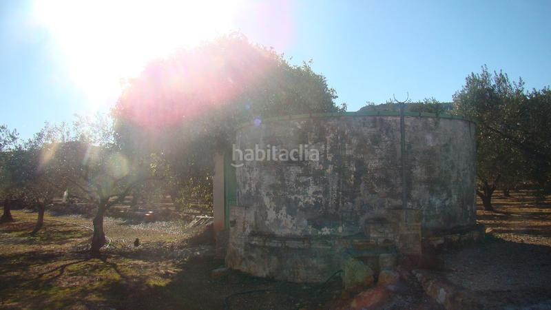 Foto c17aec86-123b-4abe-8a9b-0627c88bf566. Mas dans Freginals