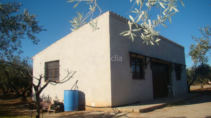 Foto ddc41998-6fdb-4a93-9d8d-f60cf0835ba8. Mas dans Freginals