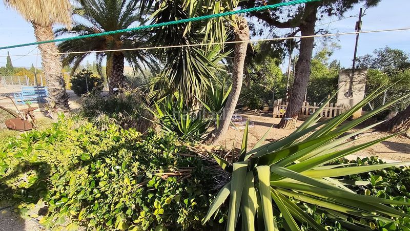 Foto 50716b3d-87ec-4a10-8a34-f573ac6b6236. Location mas avec chauffage piscine dans Ampolla (L´)