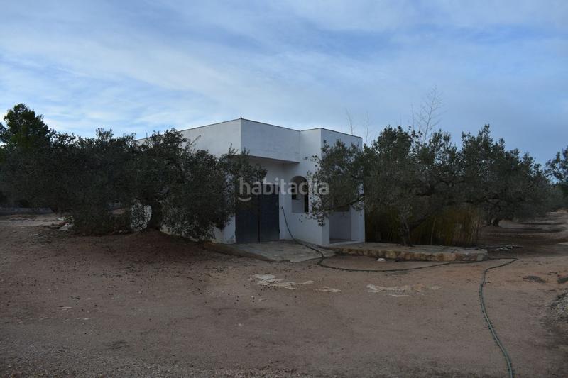 Foto 70b7c043-9a6f-4b28-bd7c-ec2ce8cbbefc. Chalet impresionante casa de campo. en Ampolla (L´)