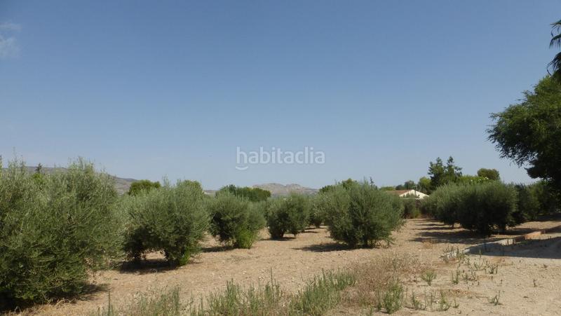 Foto bde2f502-86c8-4bc7-b13c-696337a749e1. Masía finca con casa y piscina , en Sierra de Carrascoy Alhama de Murcia