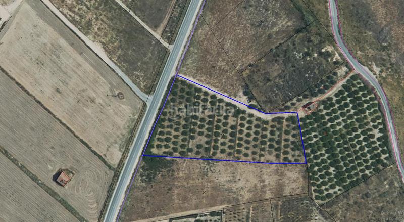 Foto 17b79e90-2ad1-430a-b6d5-0938dd2f313b. Fondo rustico in Sierra de Carrascoy Alhama de Murcia