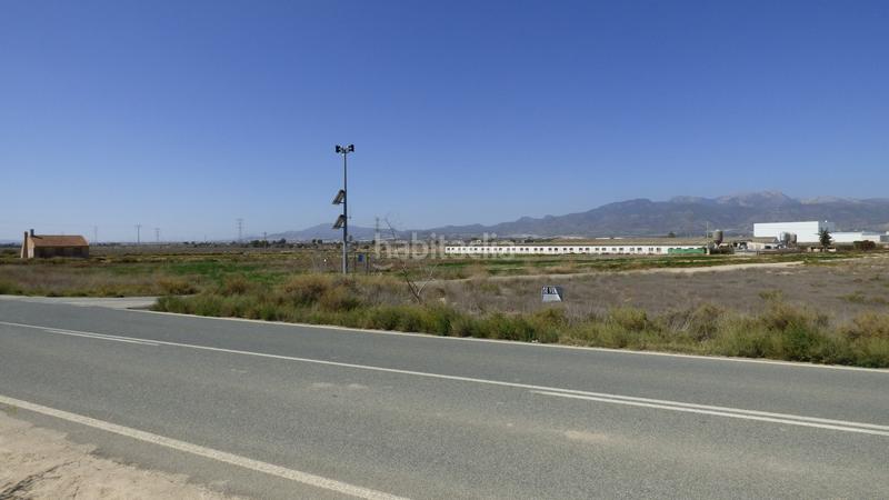 Foto 83ef9c96-6359-4f85-883a-3376565264d9. Fondo rustico in Sierra de Carrascoy Alhama de Murcia