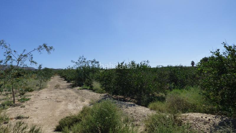 Foto eb59ebf8-6383-45d7-a001-082591962d7a. Fondo rustico in Sierra de Carrascoy Alhama de Murcia