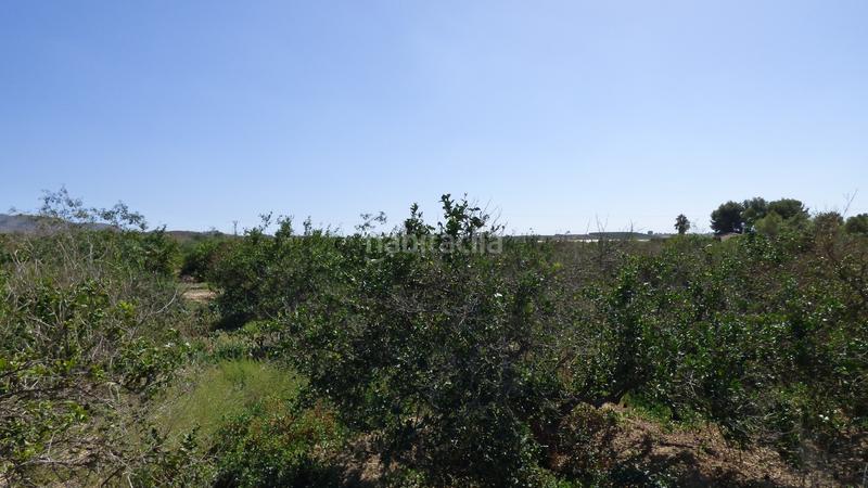 Foto f0cfa2d2-391d-48e2-9a15-a6f1f05c1849. Fondo rustico in Sierra de Carrascoy Alhama de Murcia