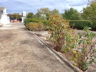 Casa en Viso de San Juan (El). Aoc, vende en exclusiva chalet, 2 hab, 2 baos, garaje y   barba