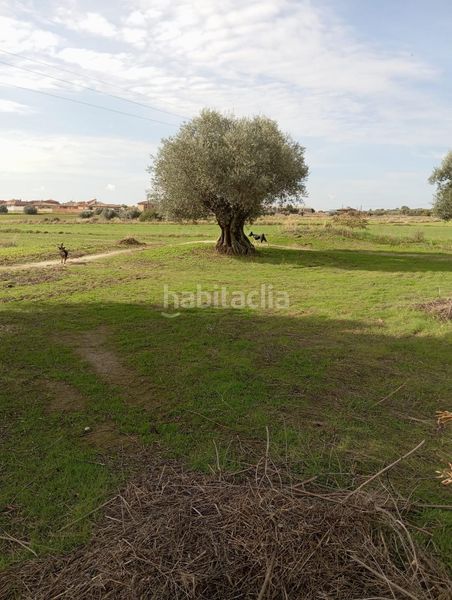Foto d78b4f61-fc5d-4d53-ad1b-5f8c48dbf57e. Casa adossada amb calefacció a Cedillo del Condado