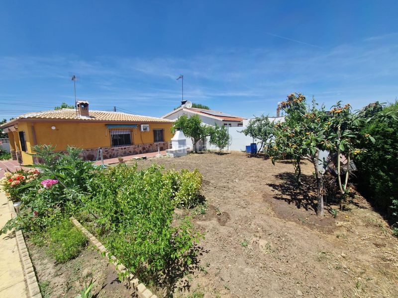 Foto 5d51c1b0-67c3-4588-b83c-bbc4a86c5bdd. Casa amb calefacció aparcament piscina a Palomeque