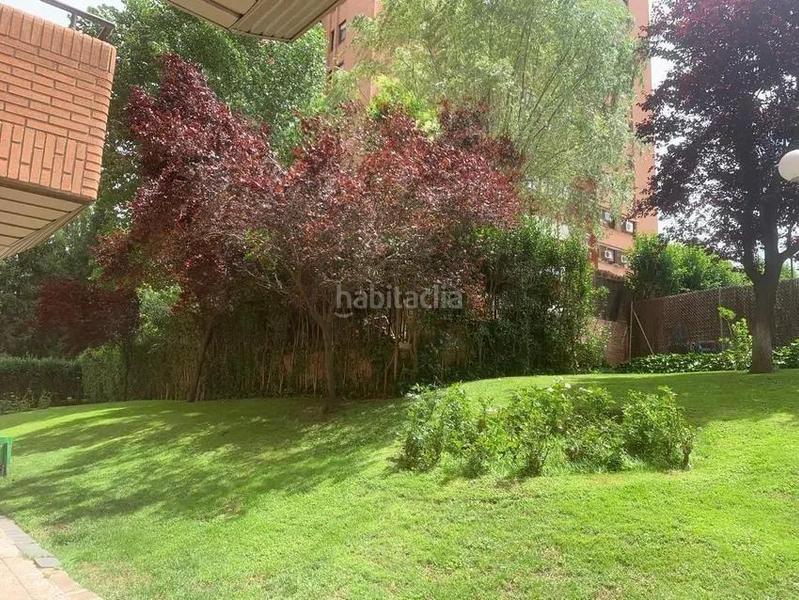 Foto 4bcafd4c-f5ef-4ff8-a797-7c4aa1e61e60. Alquiler apartamento excelente piso en alfonzo rodriguez castelao! en Madrid