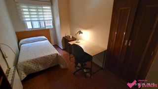Lloguer Pis  Profesor francisco dalmau. Piso en francisco dalmau para estudiantes y profesionales