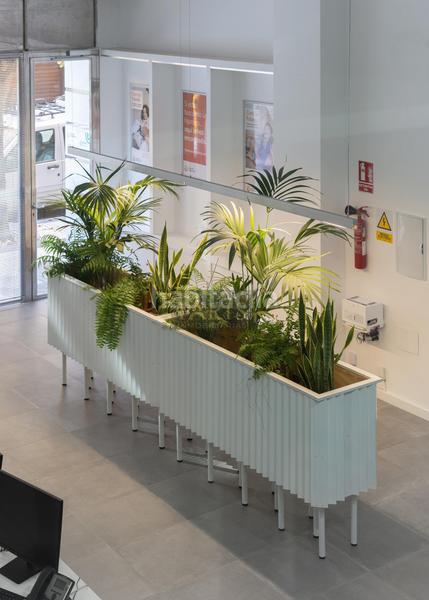 Foto 78fa5a5d-4fbc-46bf-b190-43d93793dc5e. Locale commerciale in Ensanche Cartagena