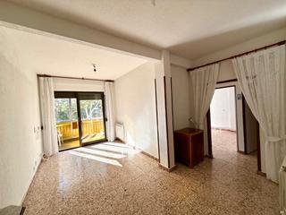 Pis a Centro. Piso en pradillo con patio