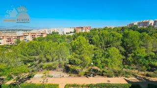 Location Appartement  Calle castillo de aledo