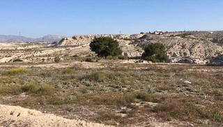 Bauernhof in Los Valientes