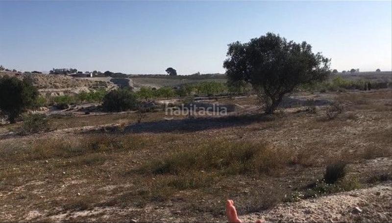 Foto b018c2f0-527f-4dd3-9839-fda768782075. Bauernhof in Los Valientes Molina de Segura