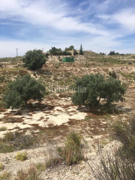 Foto 75fea921-d290-48ba-9205-5cec2ea83930. Mas dans Los Valientes Molina de Segura