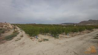 Rural plot in El Fenazar - Campotéjar