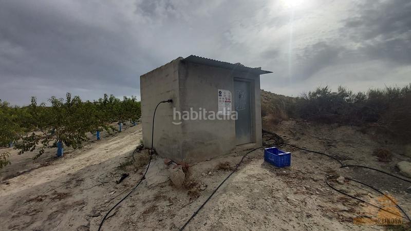 Foto 83a7a852-81f1-4e74-b306-642f1aae307d. Finca rústica a El Fenazar - Campotéjar Molina de Segura