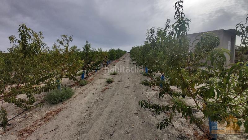 Foto 89a0762a-84b9-41da-95e5-604d2508d1f8. Finca rústica a El Fenazar - Campotéjar Molina de Segura