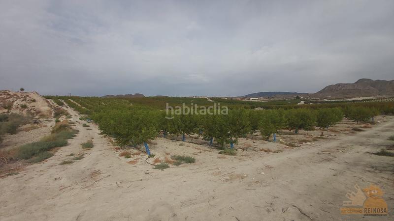 Foto 8e4ea4ce-a251-4f25-92d3-57910841b3c7. Finca rústica a El Fenazar - Campotéjar Molina de Segura